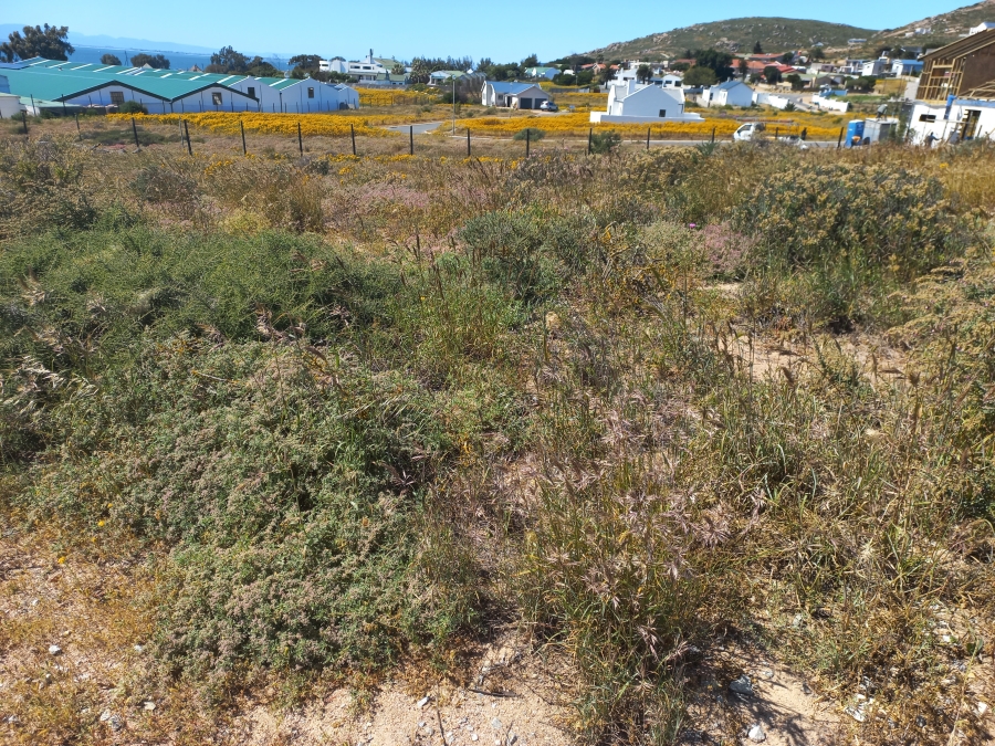 0 Bedroom Property for Sale in Britannica Heights Western Cape